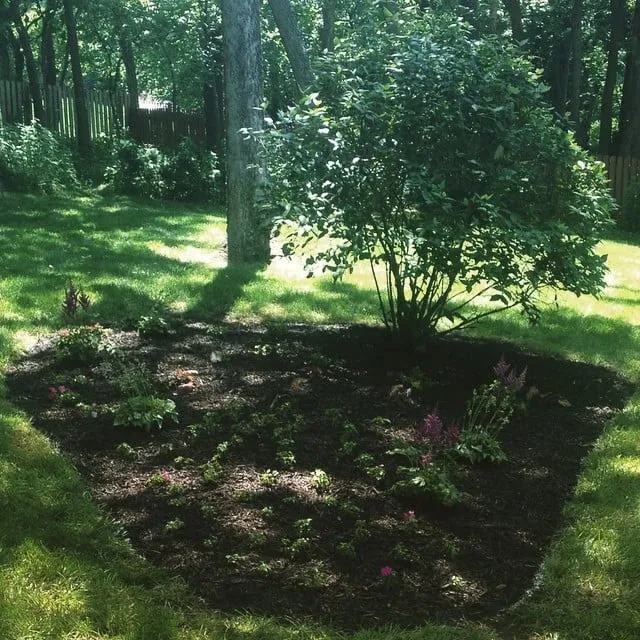 Top-rated yard maintenance in Parkville, MO by The Lawn & Sprinkler Guys