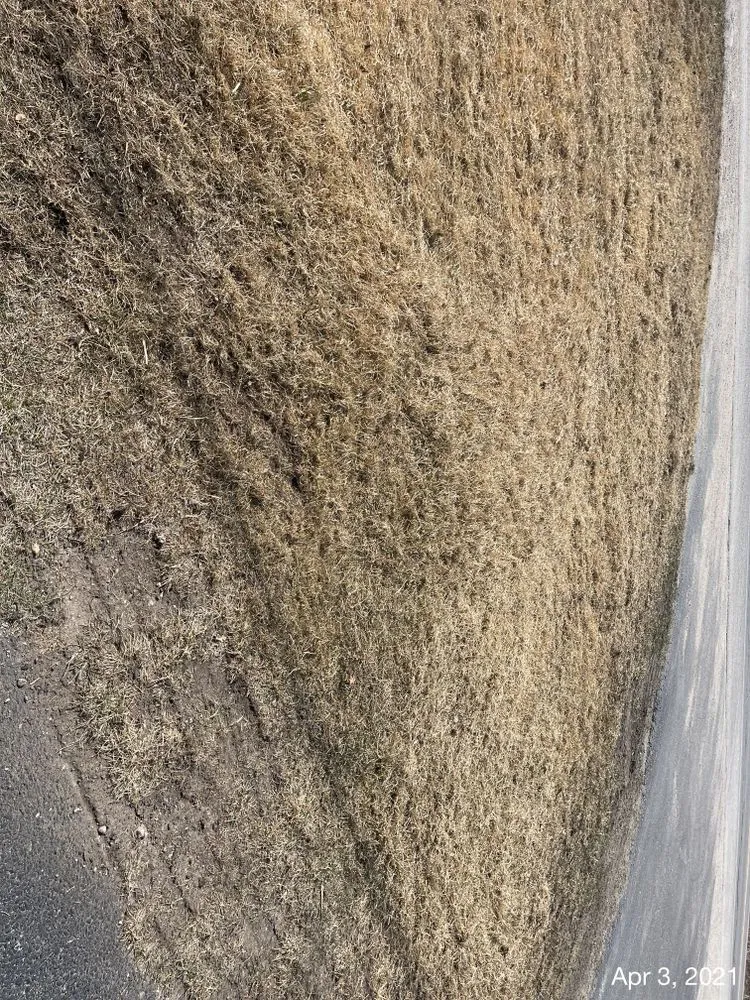 Professional lawn care service experts serving Kingsley, MI - The Lawn Amigo