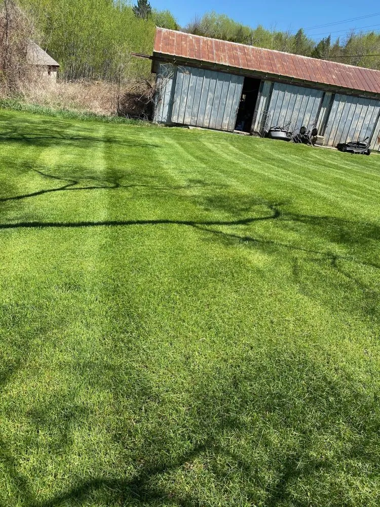 Custom lawn mowing service experts serving Kingsley, MI - The Lawn Amigo