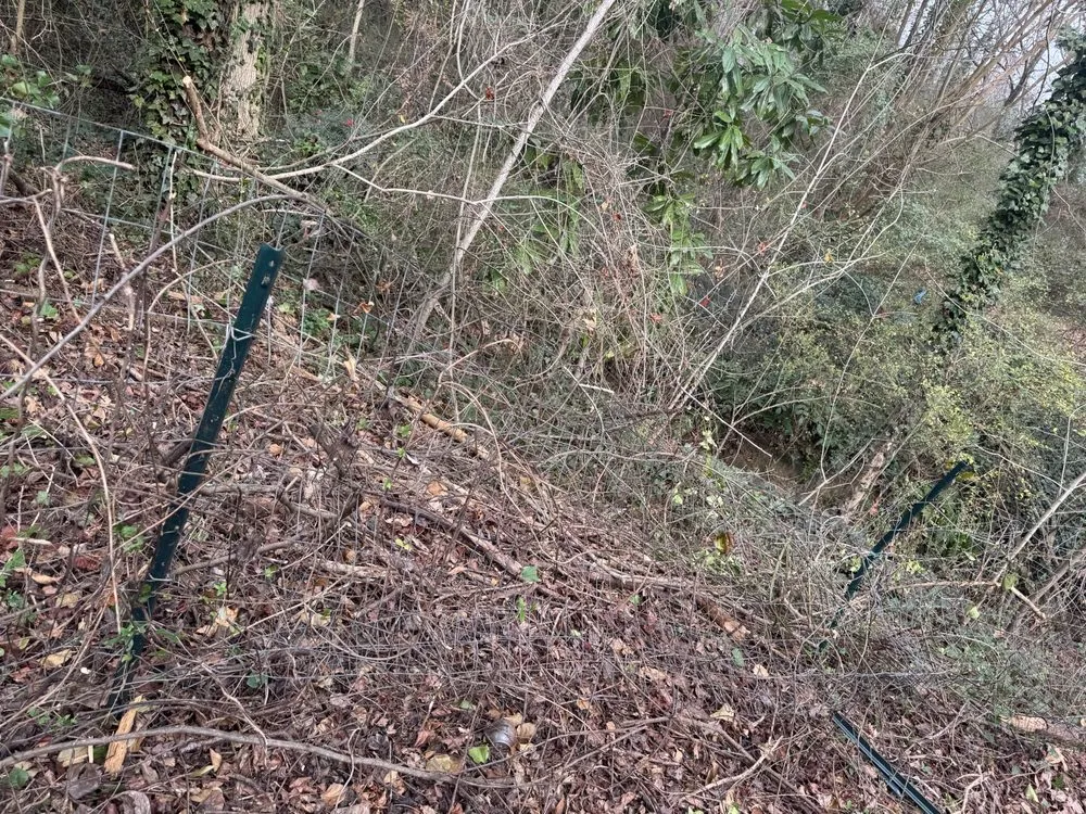 Reliable yard maintenance with custom design across Stonecrest, GA - The Lawn And Fence Rangers