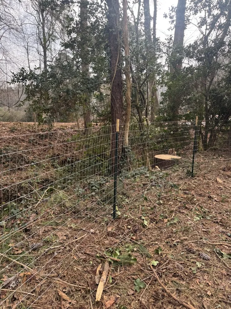 Trusted outdoor landscaping experts serving Stonecrest, GA - The Lawn And Fence Rangers