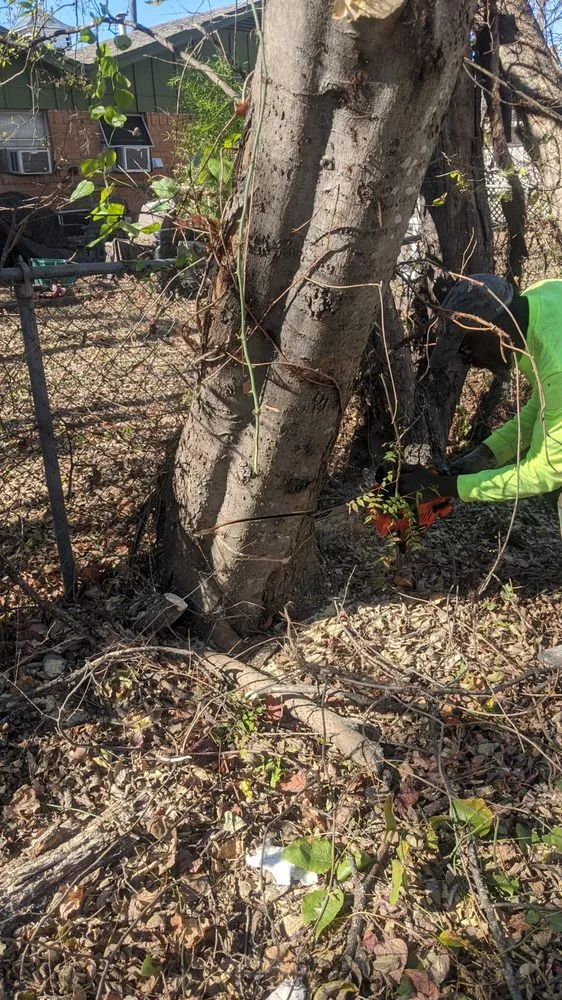 Expert lawn care service for year-round maintenance in Lancaster, TX by The Lawn Army Landscaping Services