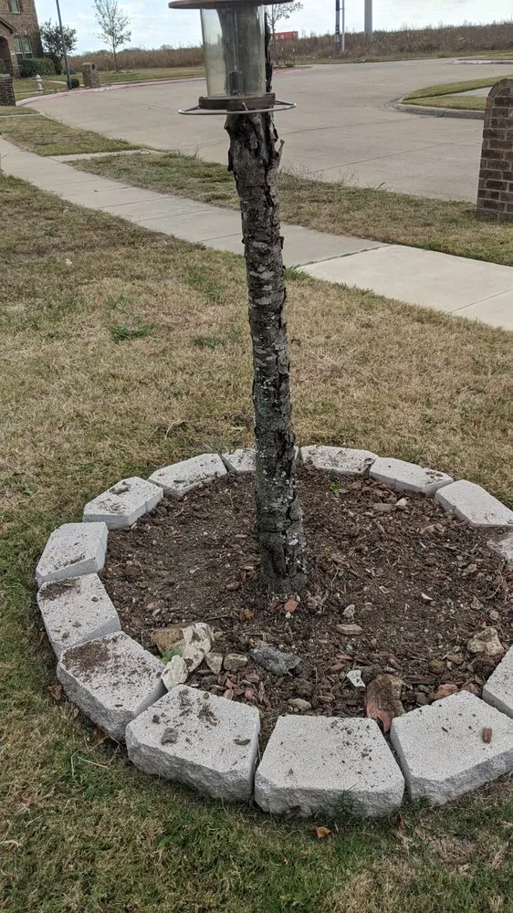 Custom landscape installation for residential properties across Lancaster, TX - The Lawn Army Landscaping Services