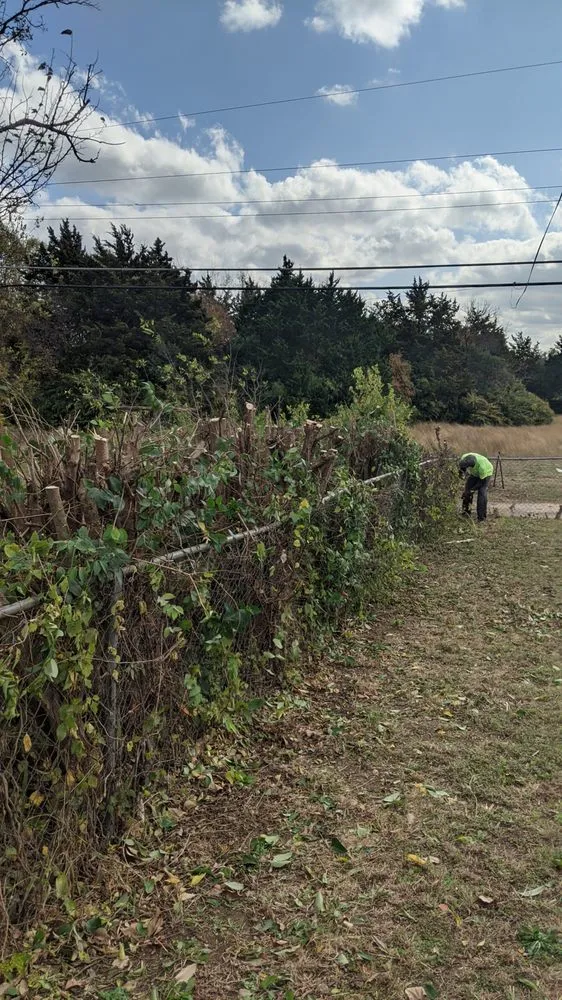 Top-rated lawn mowing service in Lancaster, TX by The Lawn Army Landscaping Services