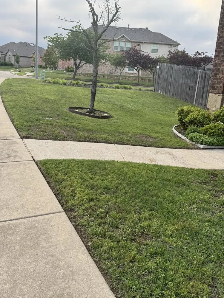 Local landscape design near you across Lancaster, TX - The Lawn Army Landscaping Services