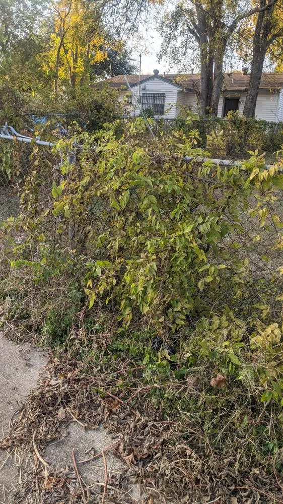 Professional lawn mowing service near you across Lancaster, TX - The Lawn Army Landscaping Services