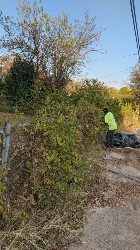 Local lawn care service in Lancaster, TX - The Lawn Army Landscaping Services