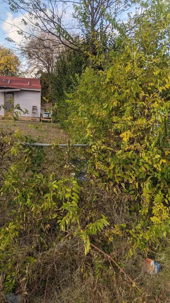 Expert landscape design experts serving Lancaster, TX - The Lawn Army Landscaping Services