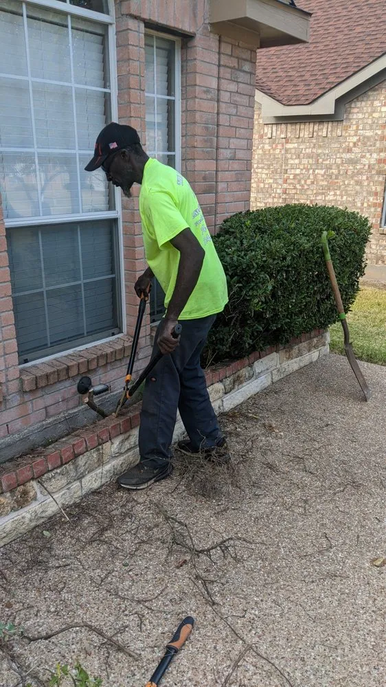 Custom yard cleanup service experts serving Lancaster, TX - The Lawn Army Landscaping Services