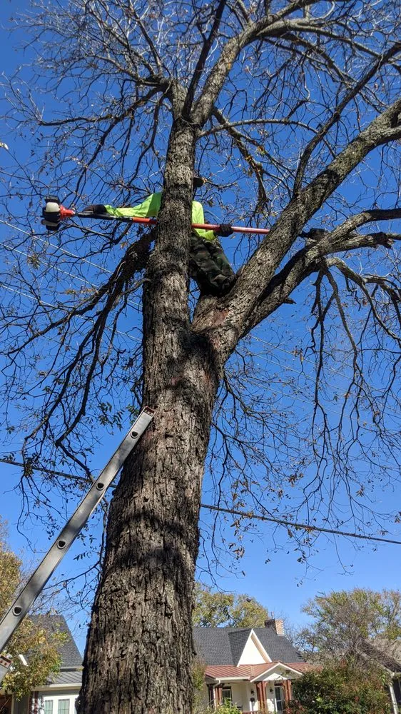 Professional residential landscaping in Lancaster, TX by The Lawn Army Landscaping Services