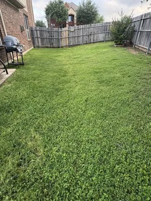 The Lawn Army Landscaping Services