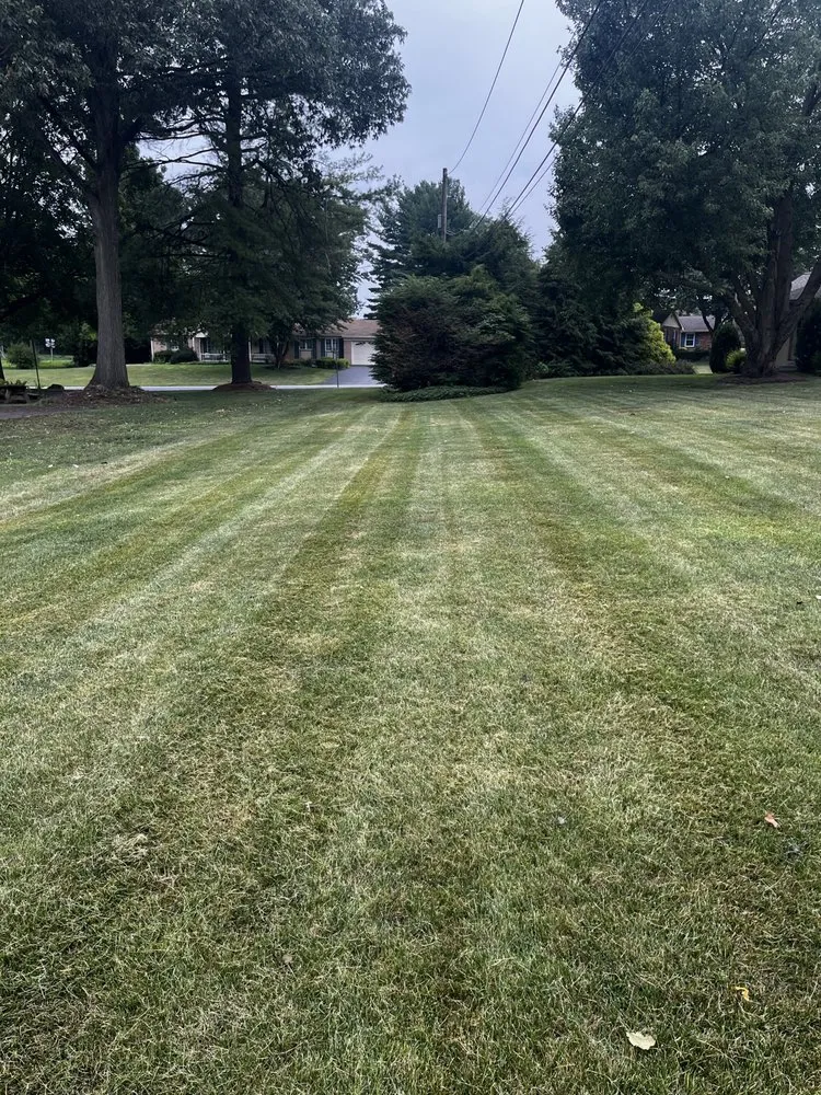 Professional landscaping services for outdoor upgrades in Akron, PA by The Lawn Barber