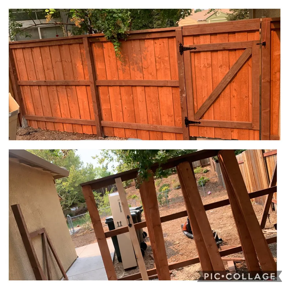 Top-rated yard cleanup service in Citrus Heights, CA - The Lawn Barber