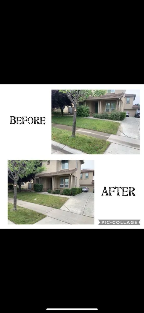 Professional yard maintenance in Citrus Heights, CA - The Lawn Barber