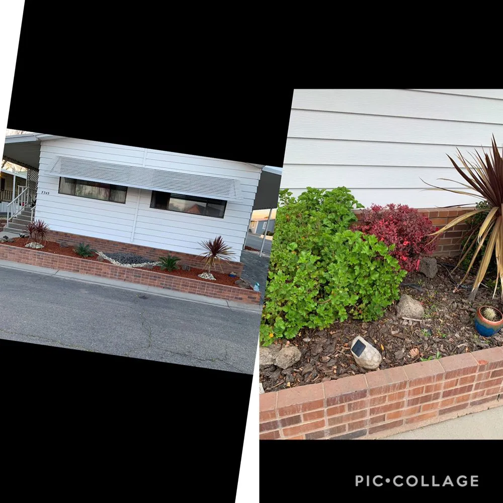 Expert yard maintenance in Citrus Heights, CA - The Lawn Barber