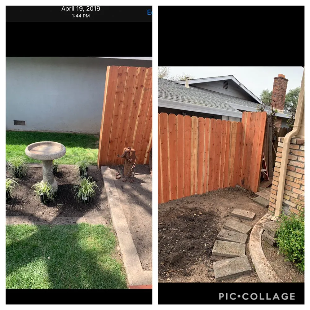 Professional yard cleanup service near you in Citrus Heights, CA by The Lawn Barber