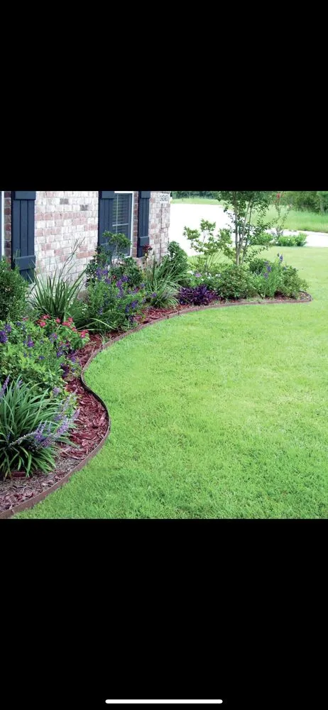 Reliable lawn mowing service in Citrus Heights, CA by The Lawn Barber