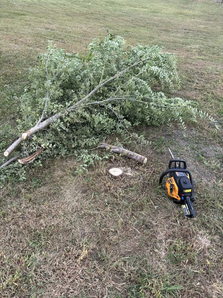 Expert landscape installation in Des Moines, IA by The Lawn Barber