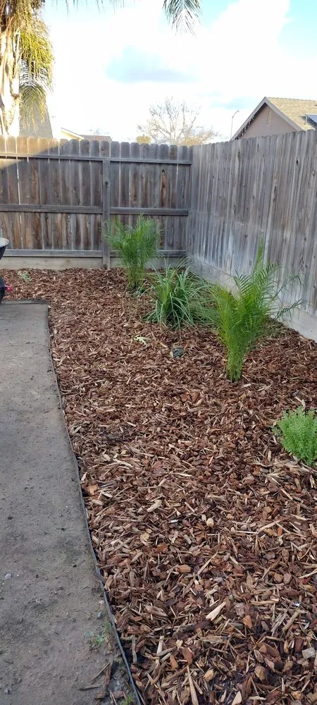 Custom outdoor landscaping in Fresno, CA by The Lawn Barber