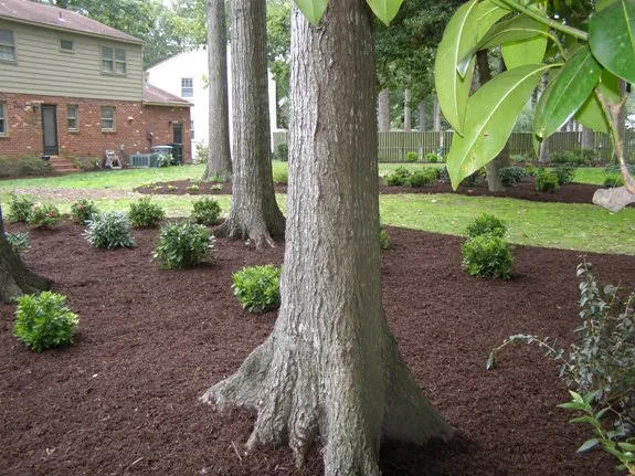 Trusted landscape design near you in Hampton, VA by The Lawn Barber