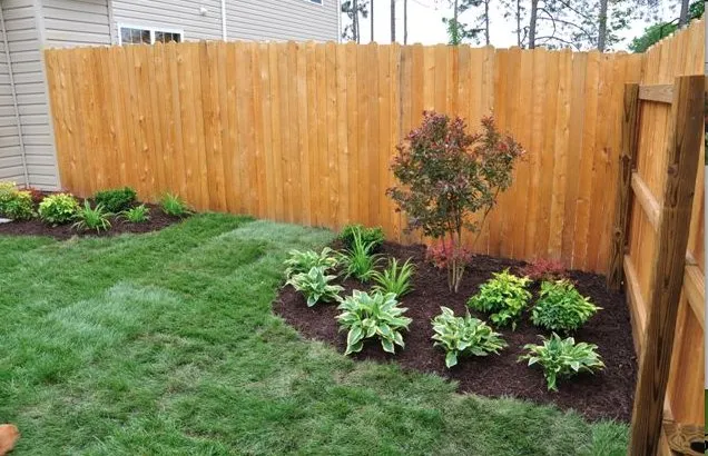 Reliable yard maintenance experts serving Hampton, VA - The Lawn Barber
