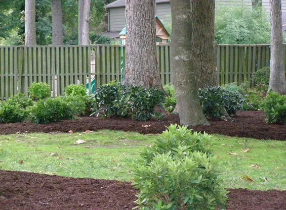 Professional yard cleanup service in Hampton, VA - The Lawn Barber
