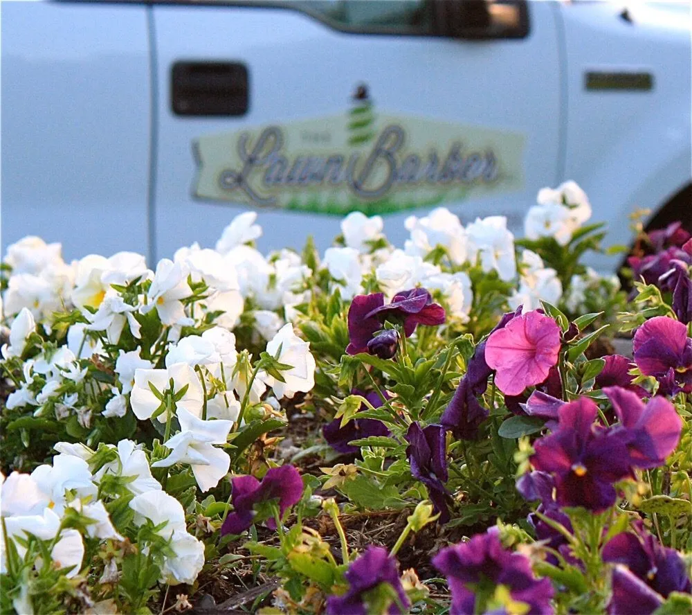 Top-rated garden landscaping in Lee's Summit, MO - The Lawn Barber