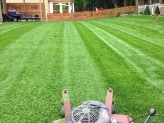 Local lawn care service experts serving Lee's Summit, MO - The Lawn Barber