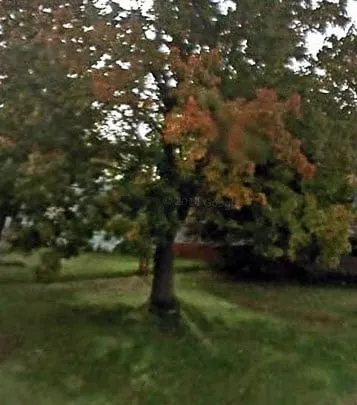 Reliable landscape design for outdoor upgrades in Muskegon, MI by The Lawn Barber