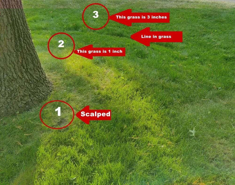 Top-rated yard maintenance in Muskegon, MI - The Lawn Barber