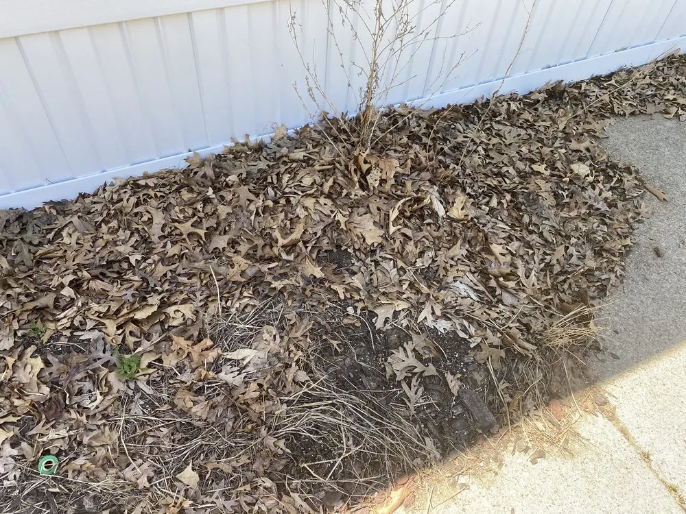 Expert residential landscaping in Muskegon, MI - The Lawn Barber