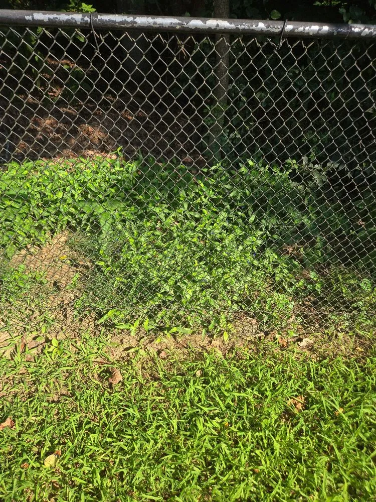 Trusted outdoor landscaping in Newburg, MD by The Lawn Barber