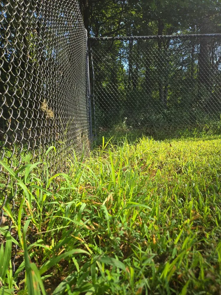 Top-rated yard maintenance for homes in Newburg, MD by The Lawn Barber