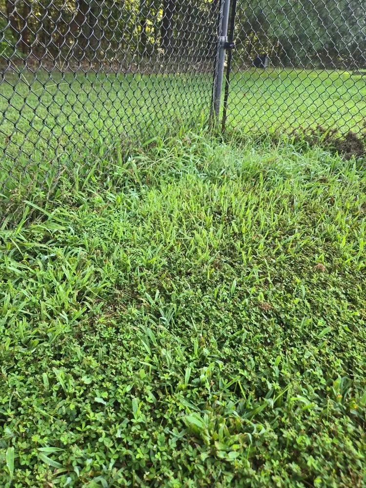 Expert landscaping services near you in Newburg, MD by The Lawn Barber