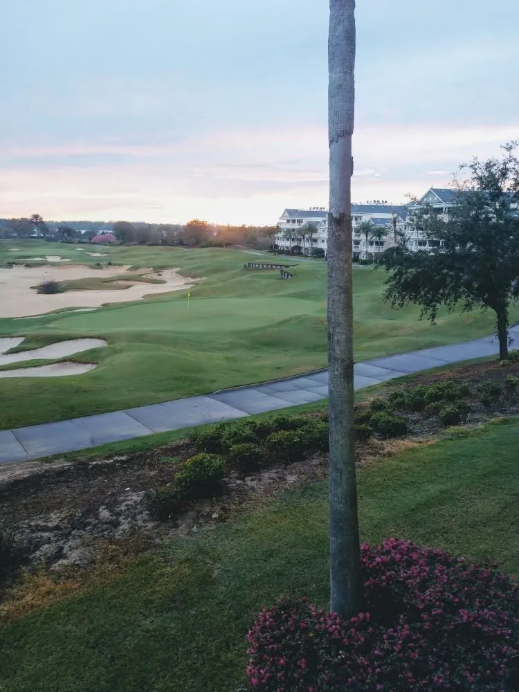 Professional yard maintenance in North Port, FL by The Lawn Barber of SW FL