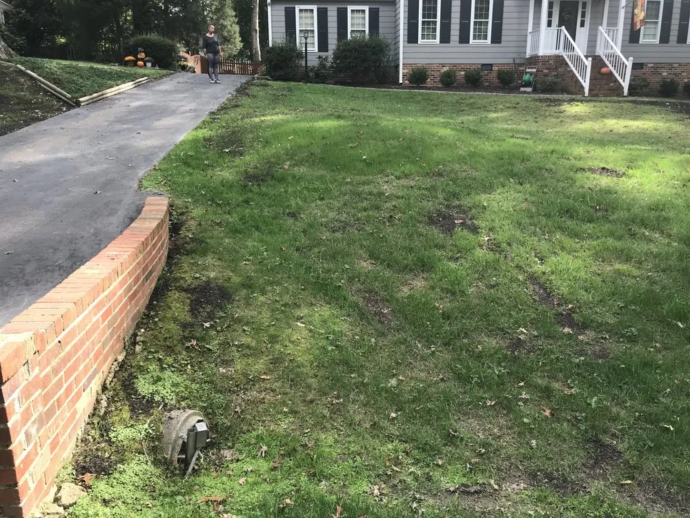Custom landscaping services for residential properties in Portsmouth, VA by The Lawn Barber Pro