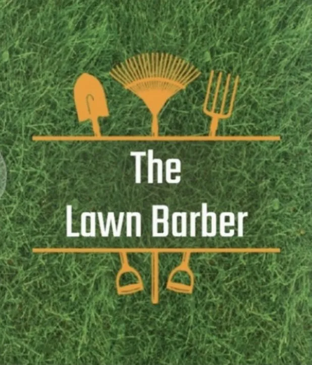 Reliable yard cleanup service for year-round maintenance across Reno, NV - The Lawn Barber
