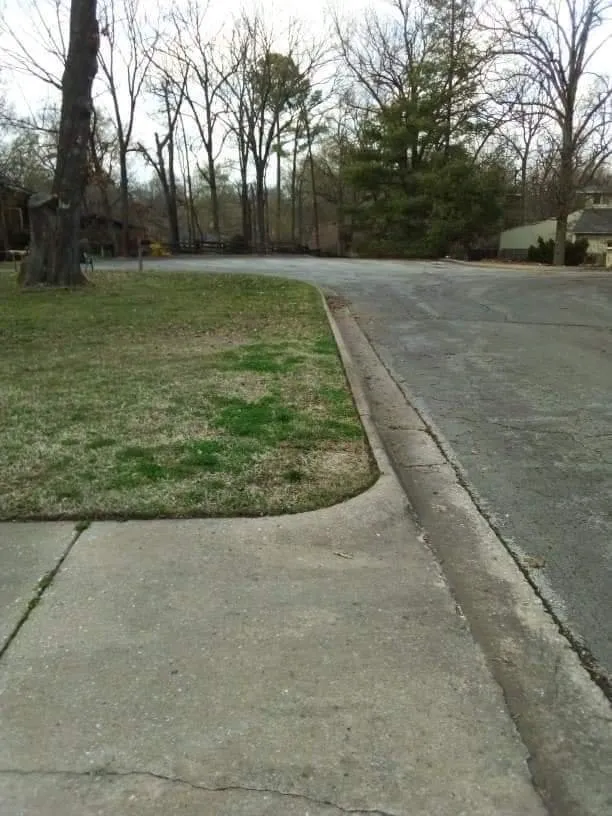 Reliable landscape design experts serving Rogers, AR - The Lawn Barber