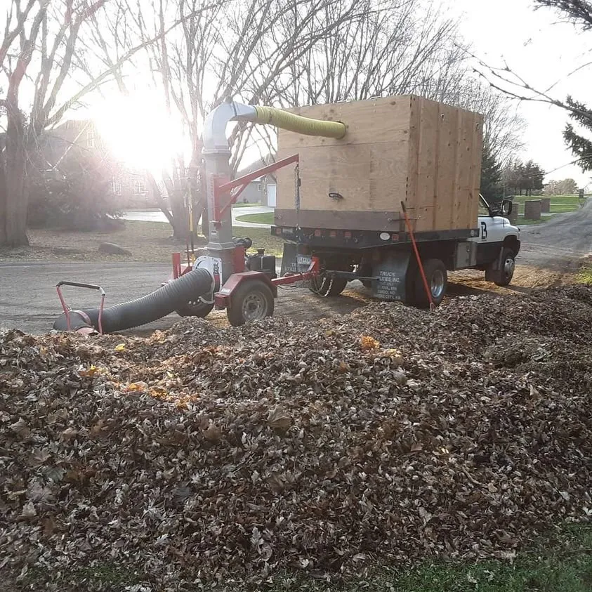Expert residential landscaping experts serving Elysian, MN - The Lawn Barber Services