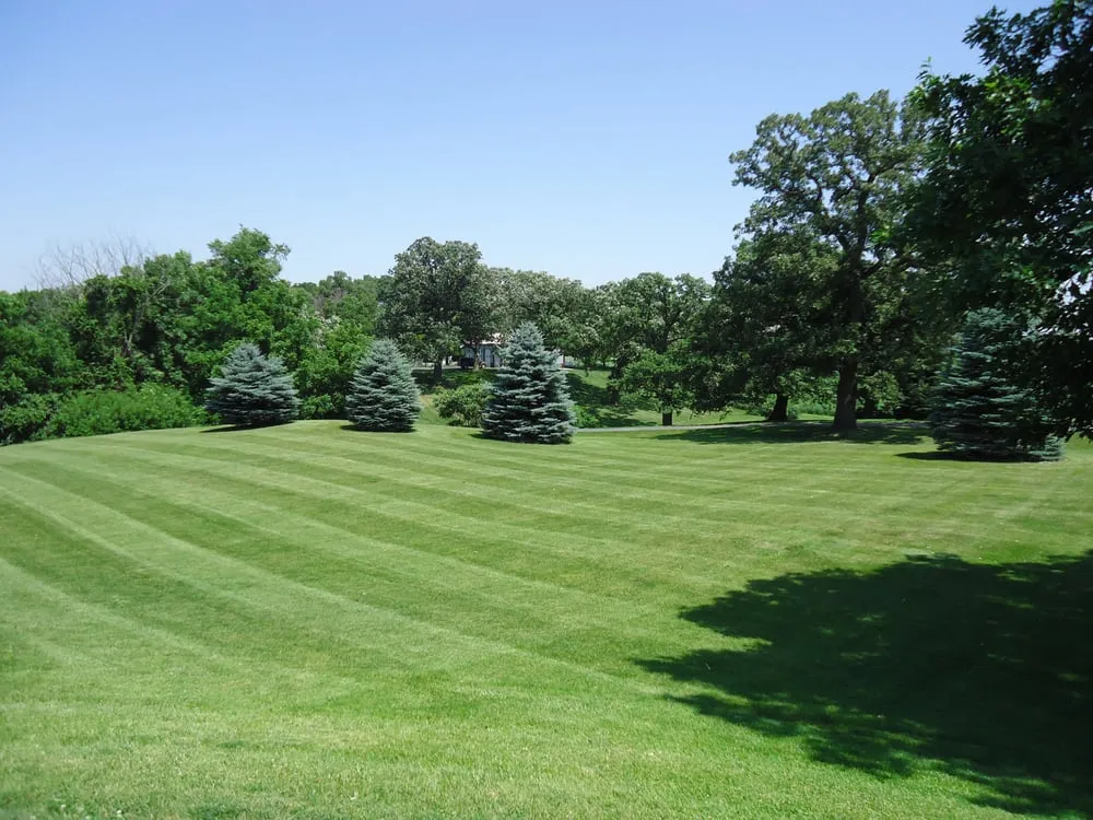 Top-rated yard cleanup service experts serving Elysian, MN - The Lawn Barber Services