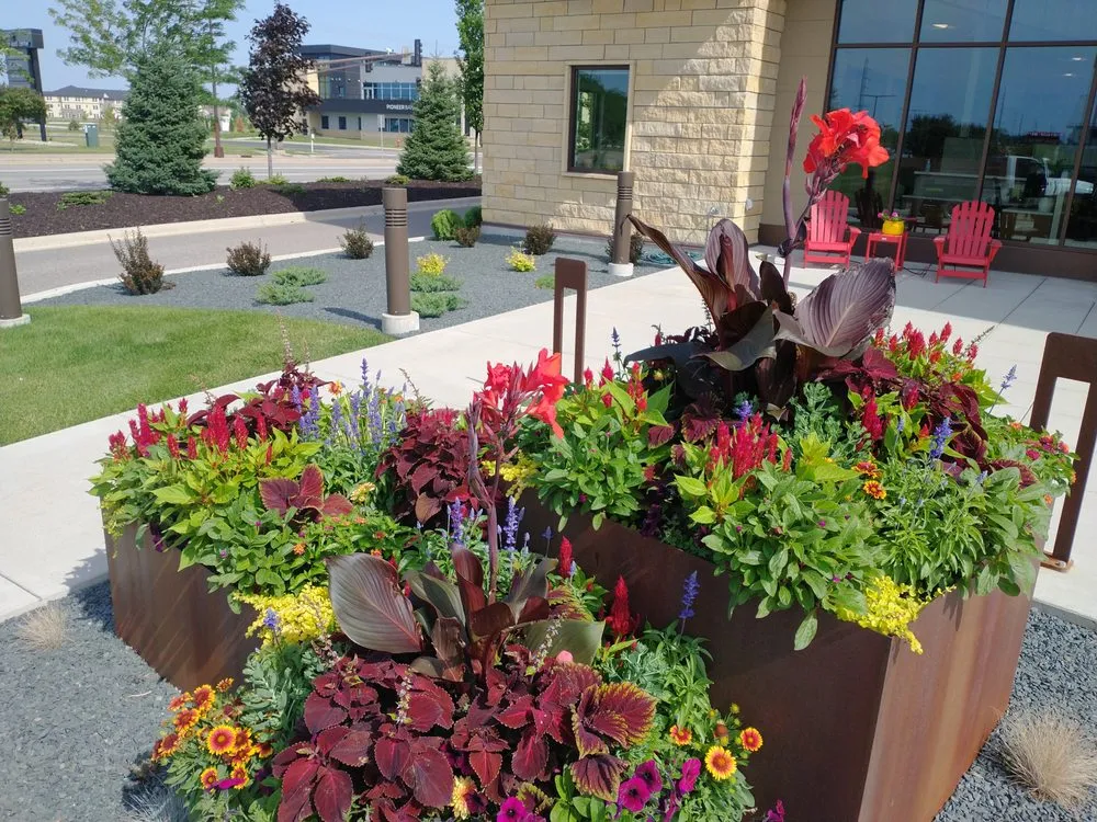 Local yard maintenance in Elysian, MN - The Lawn Barber Services