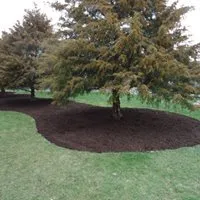 Reliable landscape design experts serving Elysian, MN - The Lawn Barber Services