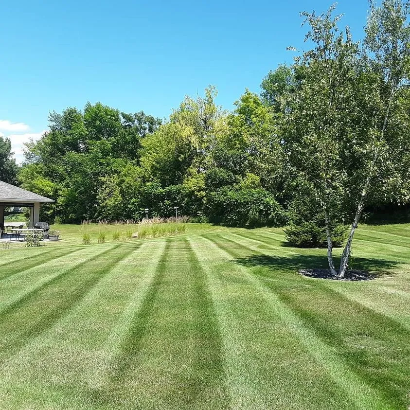 Custom landscaping services in Elysian, MN by The Lawn Barber Services