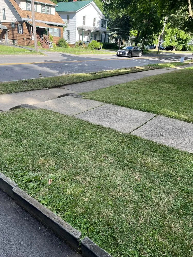 Custom yard cleanup service for year-round maintenance across Syracuse, NY - The lawn barber