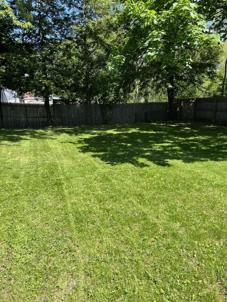 Top-rated lawn care service for homes in Syracuse, NY by The lawn barber
