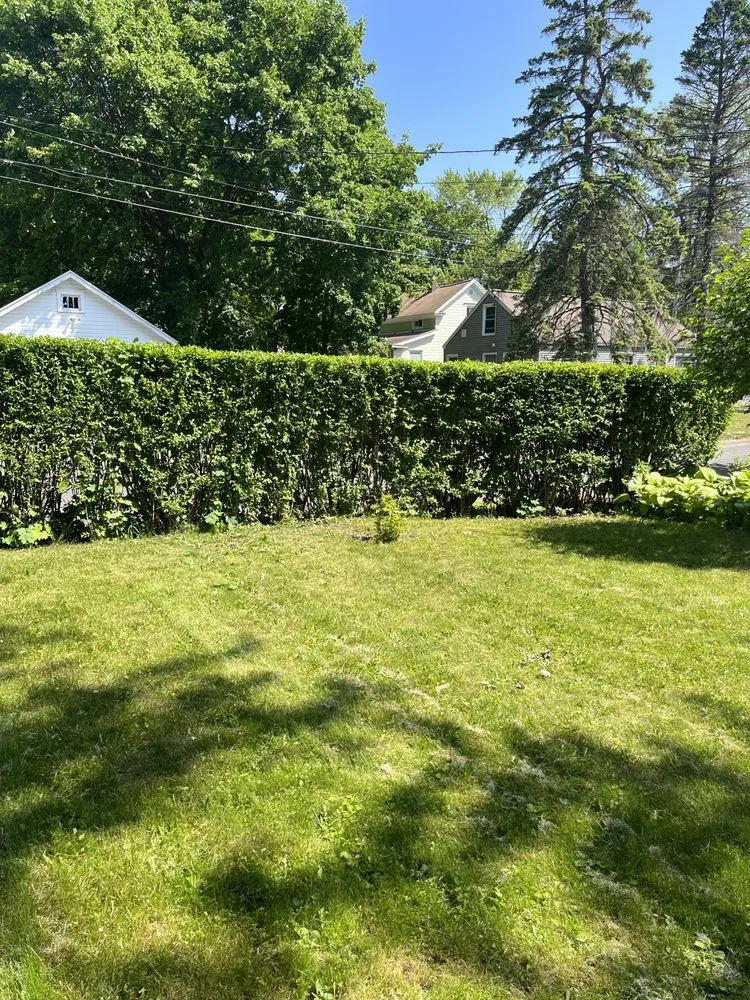 Affordable outdoor landscaping in Syracuse, NY by The lawn barber