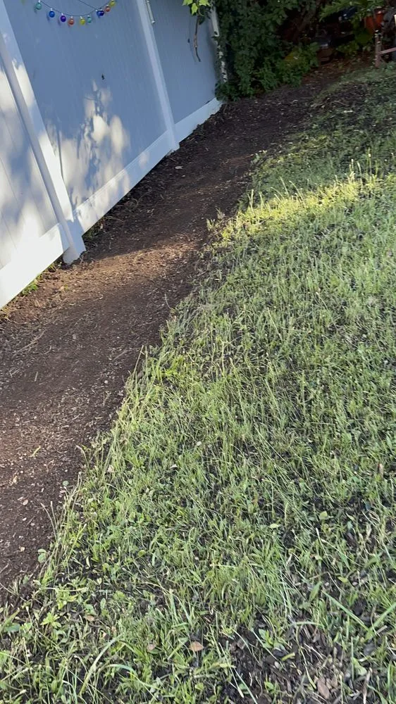 Professional yard maintenance in Syracuse, NY - The lawn barber