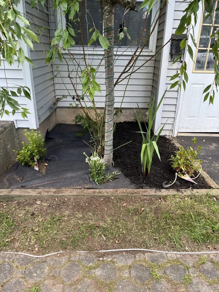 Affordable outdoor landscaping experts serving Syracuse, NY - The lawn barber