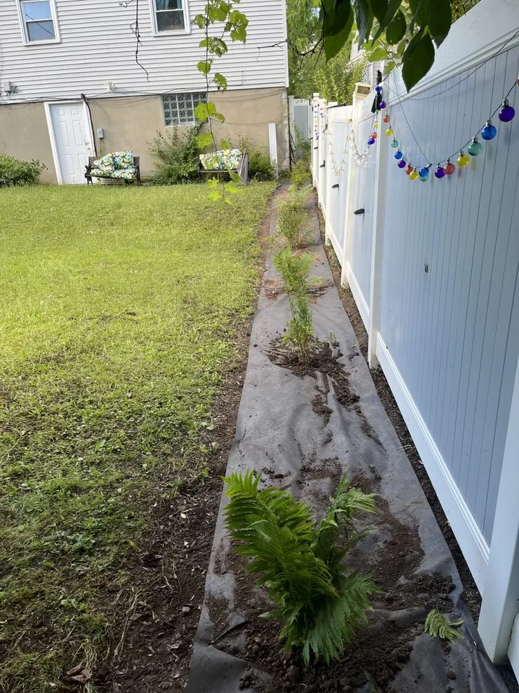 Custom yard maintenance in Syracuse, NY by The lawn barber