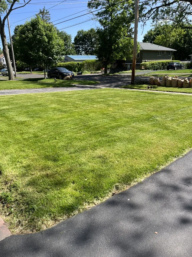 Expert lawn care service experts serving Syracuse, NY - The lawn barber